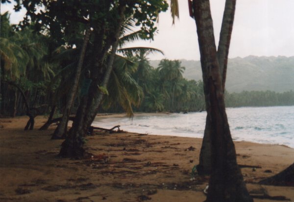 Die Bucht von Las Terenas